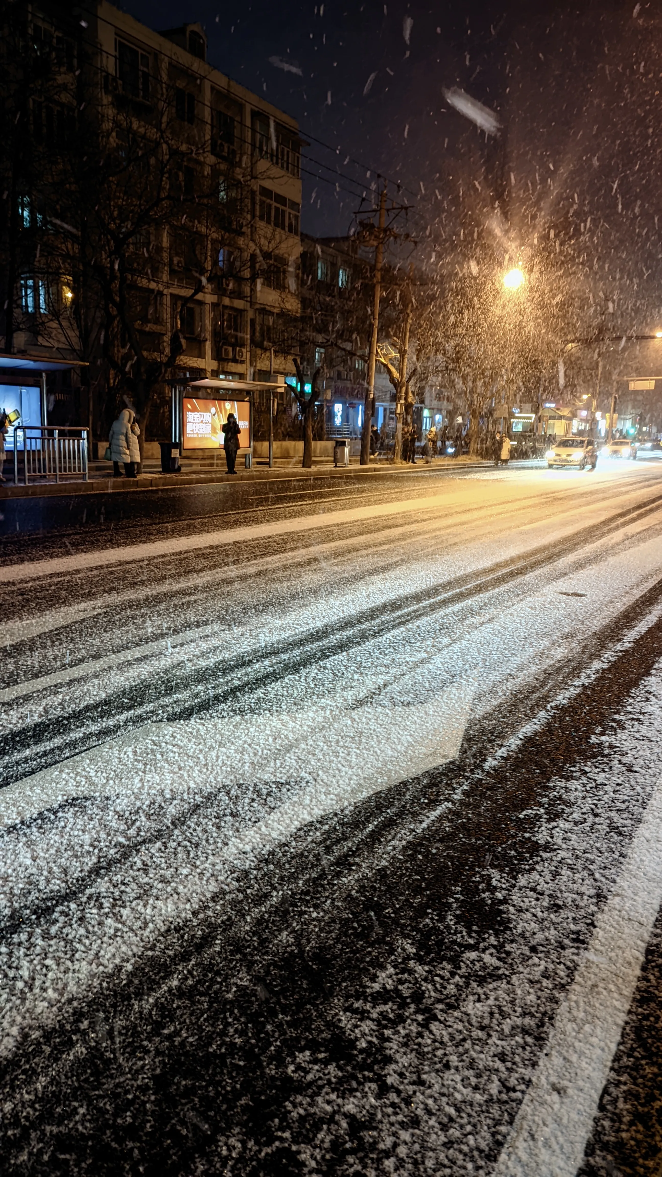 赶上了北京第一场也可能是最后一场大雪